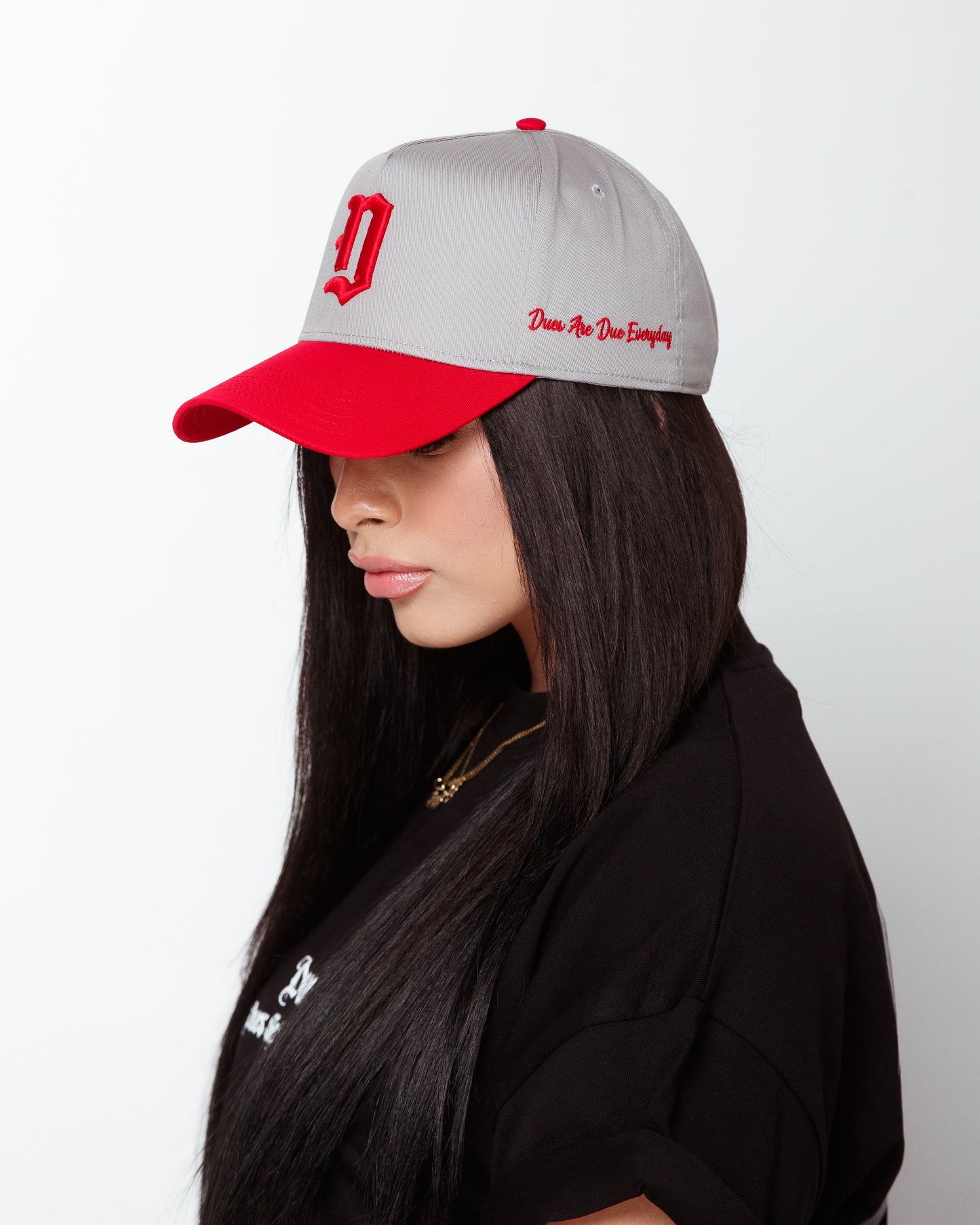 Embroidered "Dagger D" snapback in light grey/ red