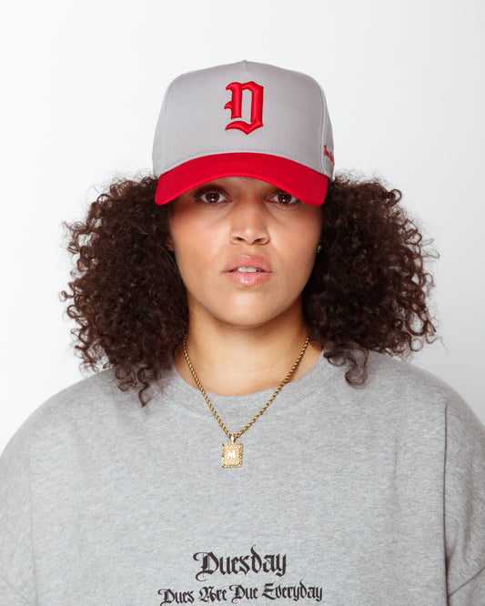 Embroidered "Dagger D" snapback in light grey/ red