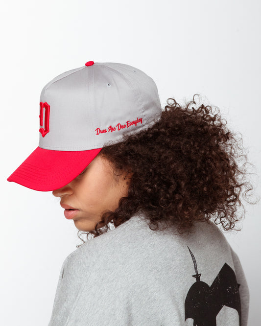 Embroidered "Dagger D" snapback in light grey/ red